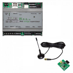 CARTELECTRONIC - Serveur WES V2 avec antenne RF 868 Mhz