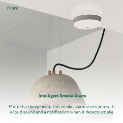 FRIENT - Détecteur de fumée intelligent Zigbee 3.0